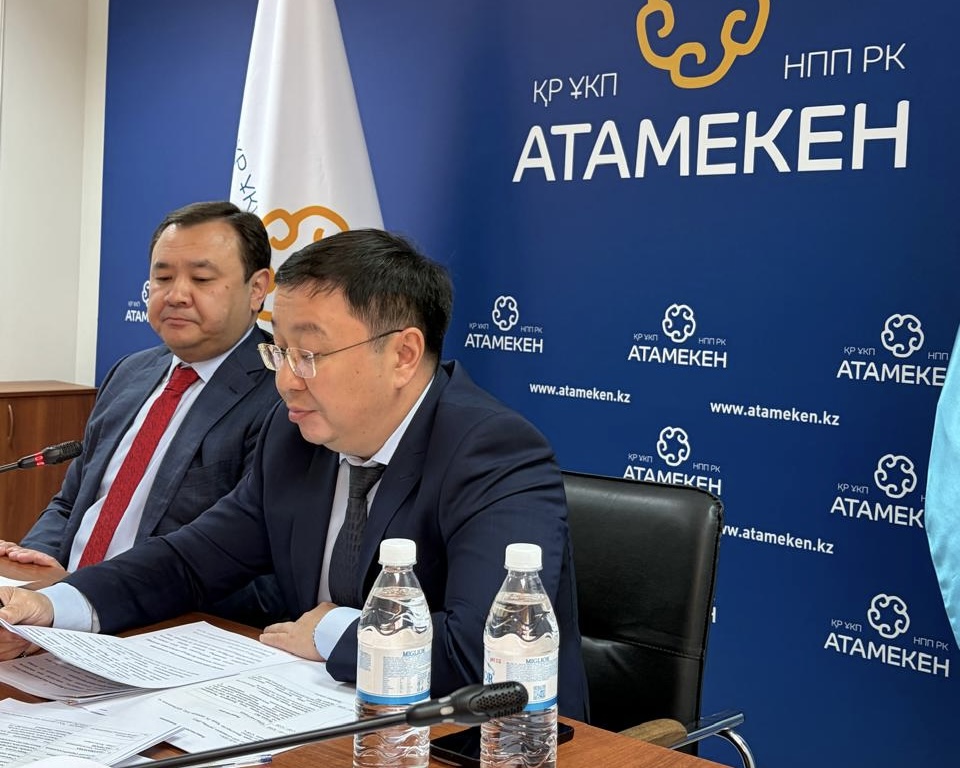 В Астане обсудили внедрение «Алтын Виза»