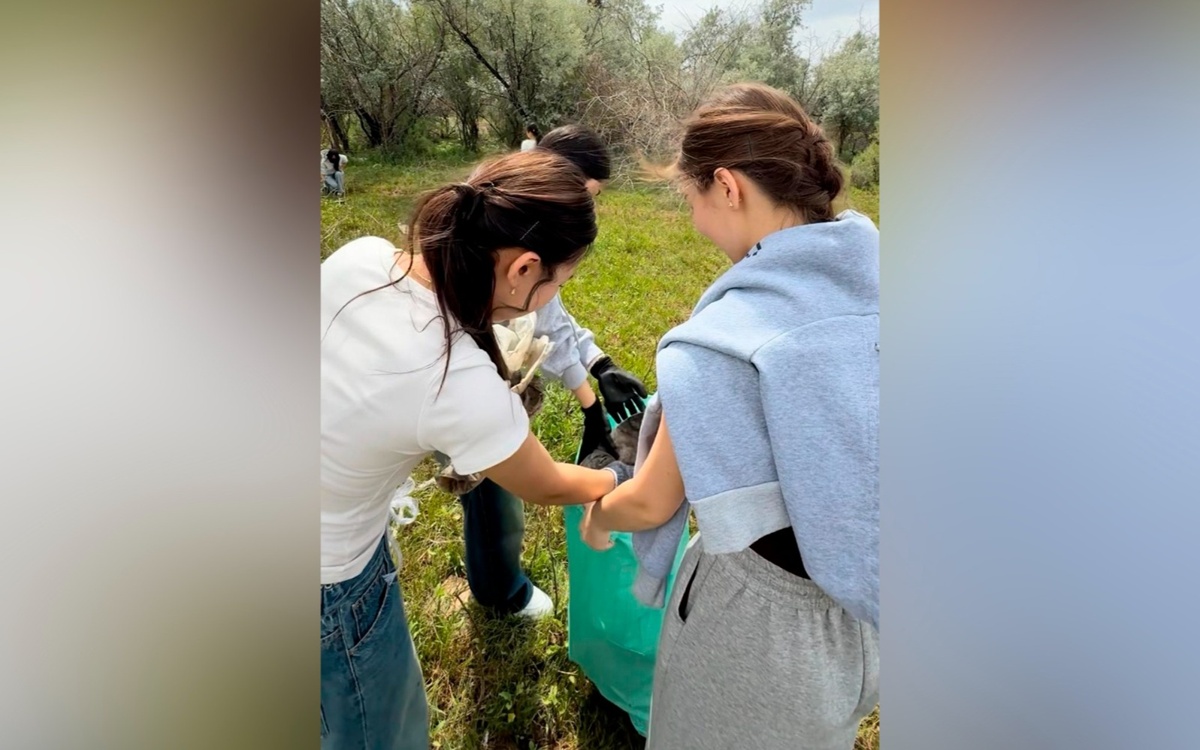 В области Улытау прошли экологические челленджи