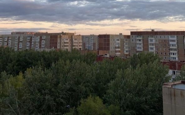 ТОО «Профинвест» обязали высадить 7200 деревьев