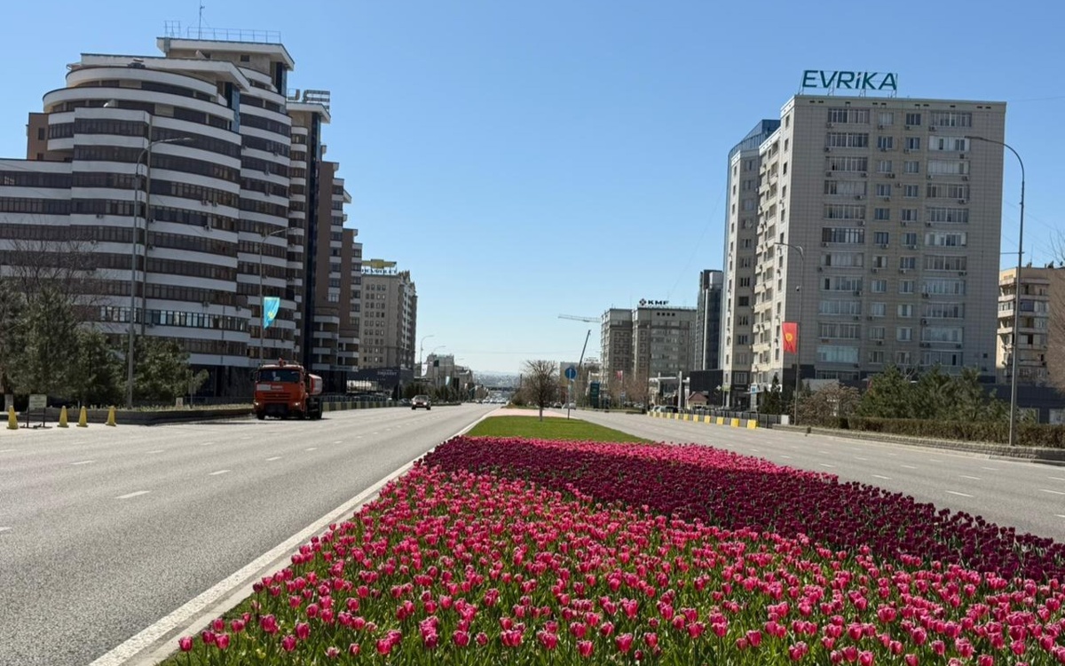Очередь на жилье в Шымкенте превысила 95 тысяч
