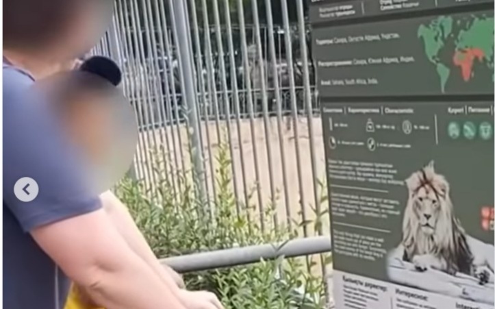 Посетительница зоопарка Алматы бросала камни во льва: материалы переданы в полицию