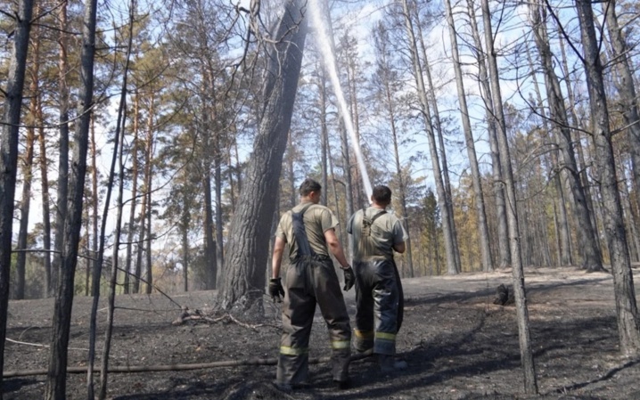 Из-за высокой пожарной опасности ограничили посещение лесов в ЗКО