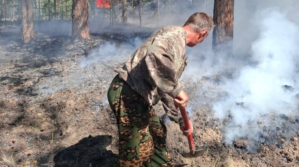 «Семей орманы» ликвидировал три лесных пожара