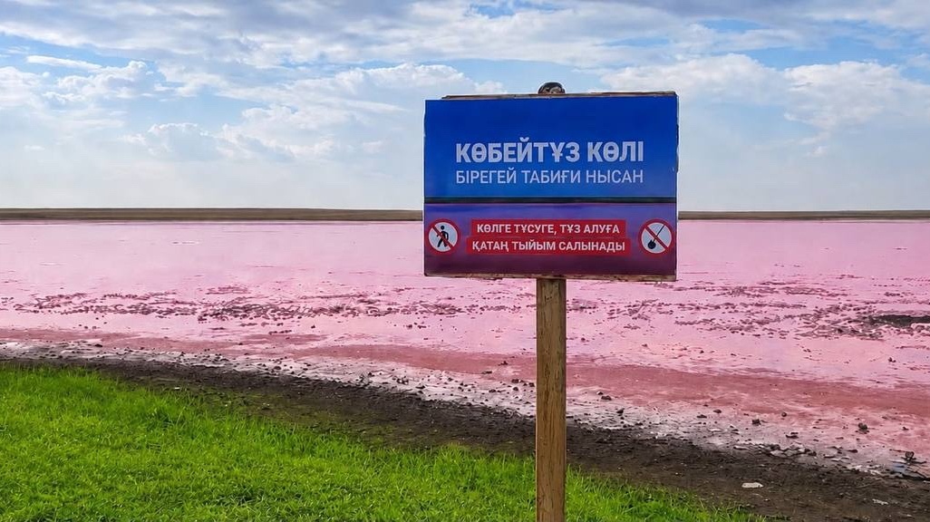 Сохранить для будущих поколений – по поручению Президента на озере Көбейтұз ввели строгий экологический контроль