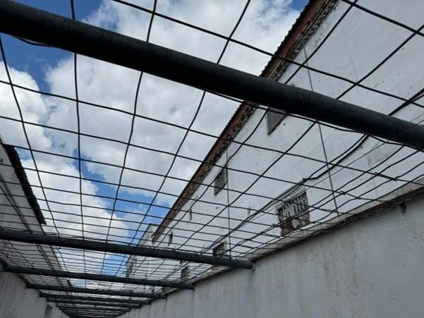 В Павлодарской области под амнистию подпадают 553 человека