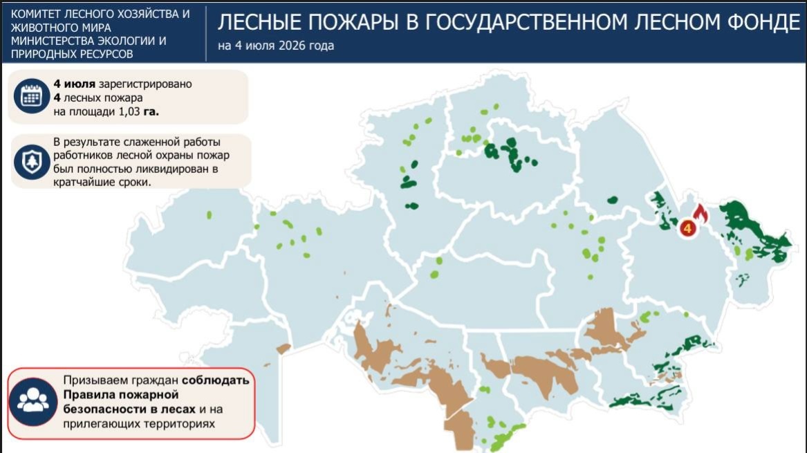 В «Семей орманы» за день ликвидировали четыре пожара