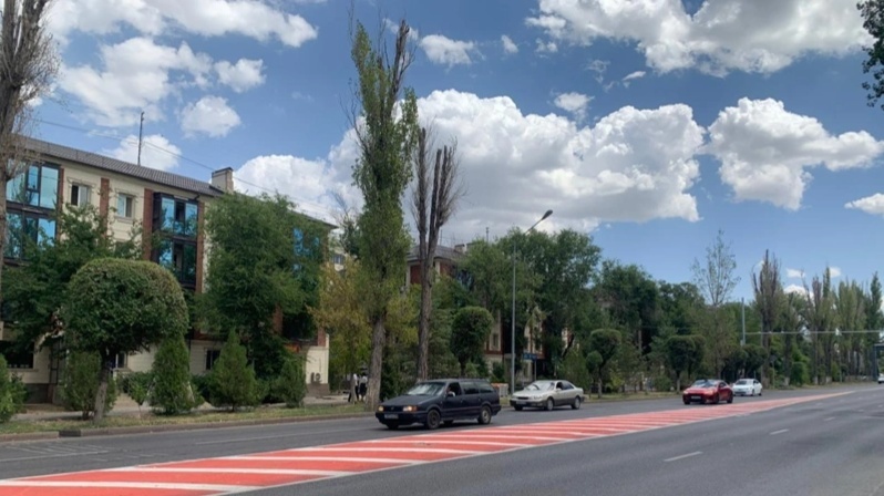В Таразе решили спилить только 27 тополей