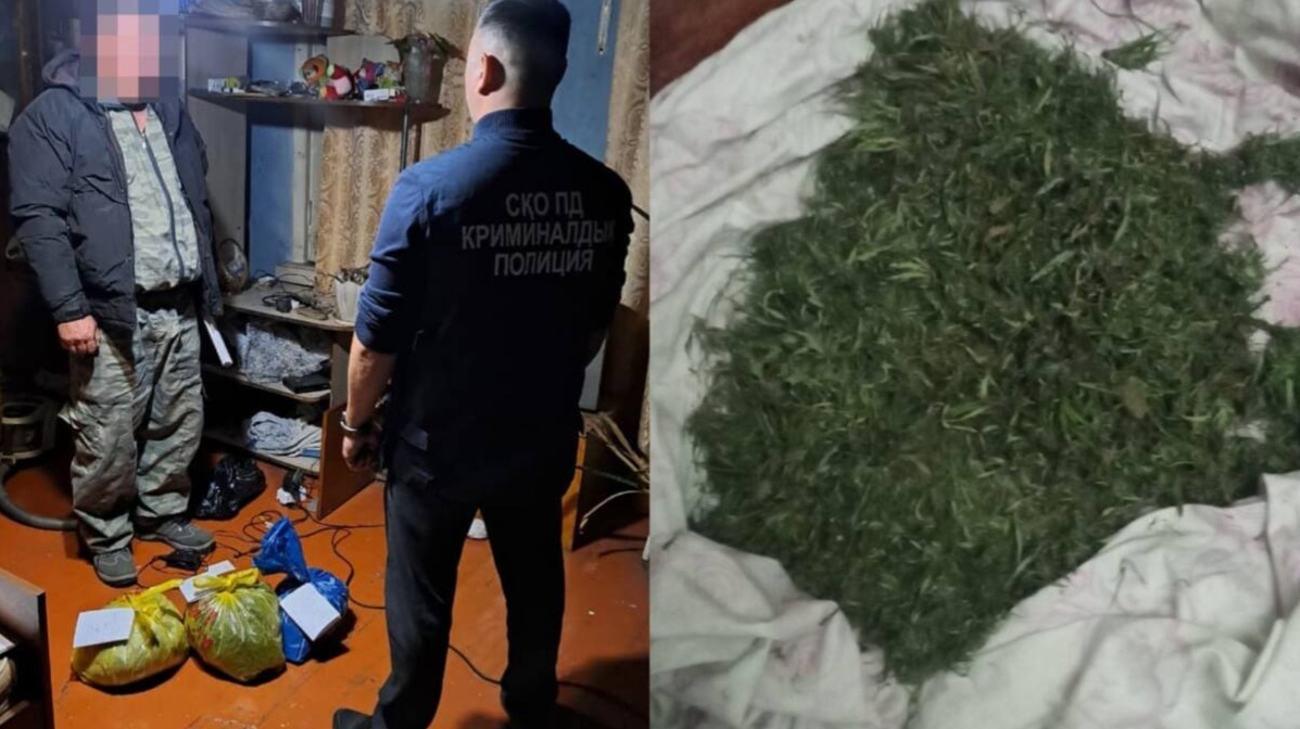 В СКО у жителя района изъяли почти 2 кг марихуаны