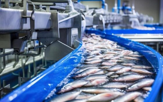 В ВКО построят рыбоперерабатывающий комплекс