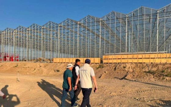 Alatau Green Production построит тепличный комплекс
