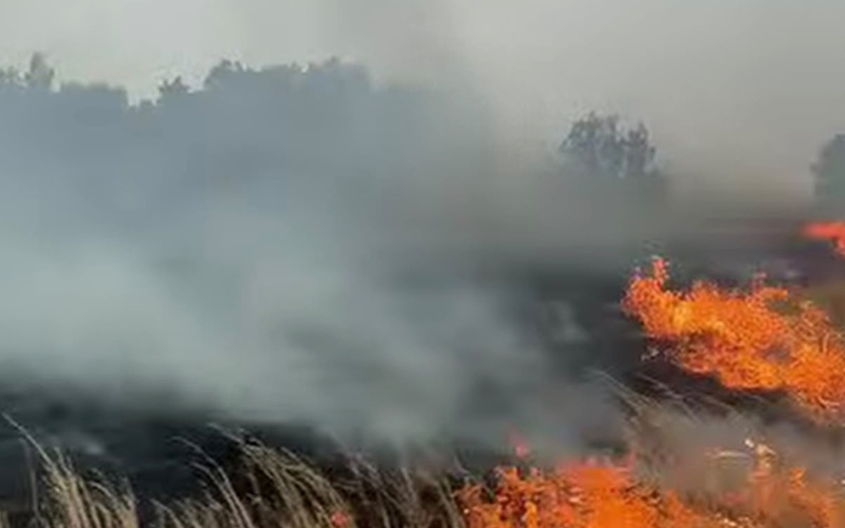 ДЧС тушит природный пожар в Костанайской области