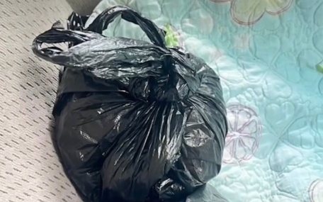 Полиция Алматы изъяла у женщины 2,5 кг наркотиков
