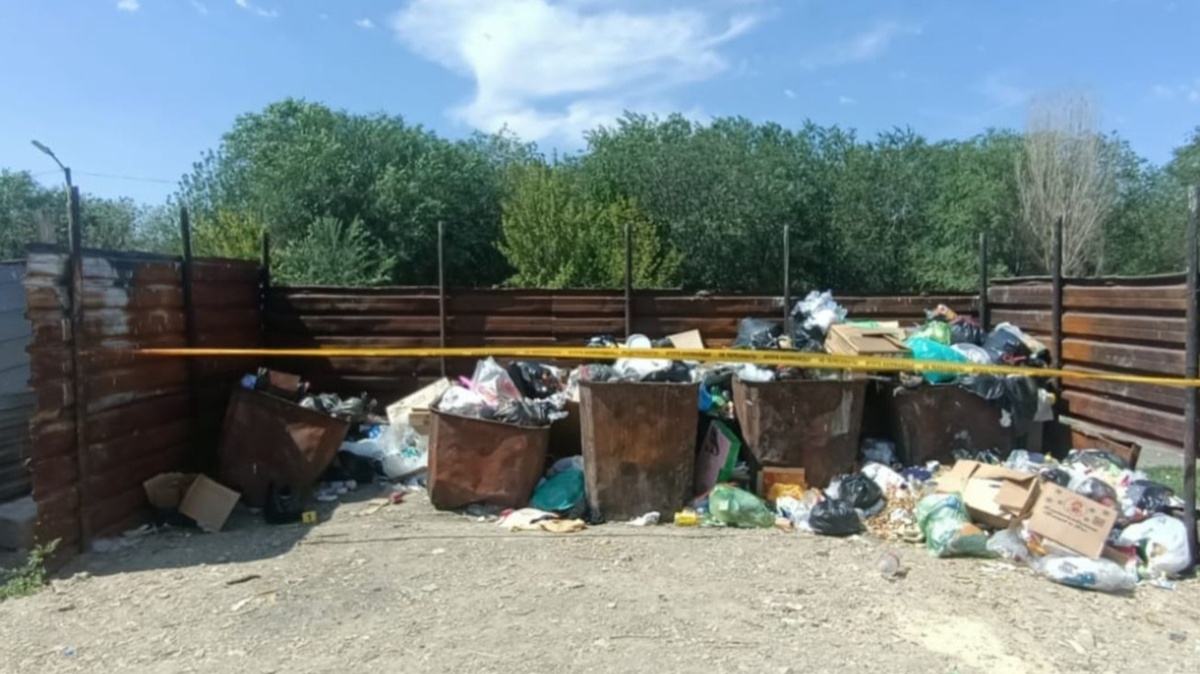 Полиция нашла мать девочки из контейнера в Жамбылской области
